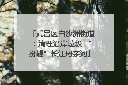 武昌区白沙洲街道：清理沿岸垃圾 “扮靓”长江母亲河