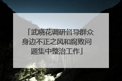 武晓花调研督导群众身边不正之风和腐败问题集中整治工作