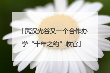 武汉光谷又一个合作办学“十年之约”收官