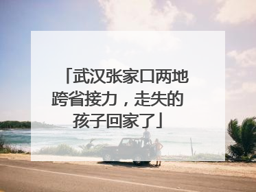 武汉张家口两地跨省接力，走失的孩子回家了