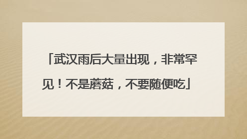 武汉雨后大量出现，非常罕见！不是蘑菇，不要随便吃