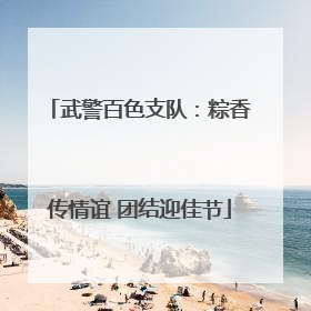 武警百色支队：粽香传情谊 团结迎佳节