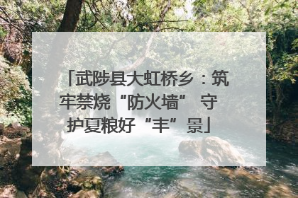 武陟县大虹桥乡：筑牢禁烧“防火墙” 守护夏粮好“丰”景