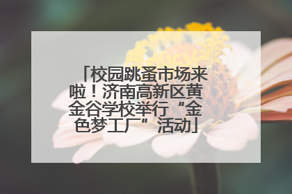 校园跳蚤市场来啦！济南高新区黄金谷学校举行“金色梦工厂”活动