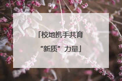 校地携手共育“新质”力量