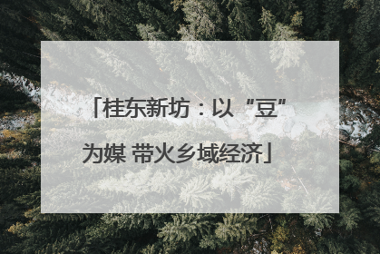 桂东新坊：以“豆”为媒 带火乡域经济