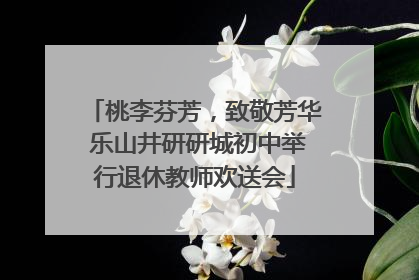 桃李芬芳，致敬芳华 乐山井研研城初中举行退休教师欢送会