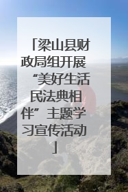 梁山县财政局组开展“美好生活 民法典相伴”主题学习宣传活动