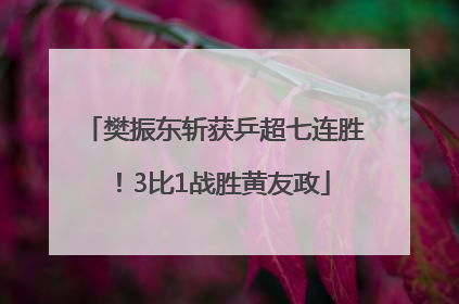 樊振东斩获乒超七连胜！3比1战胜黄友政