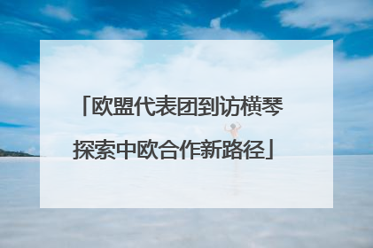 欧盟代表团到访横琴 探索中欧合作新路径