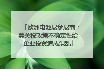 欧洲电池展参展商：美关税政策不确定性给企业投资造成混乱
