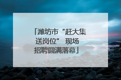 潍坊市“赶大集 送岗位” 现场招聘圆满落幕