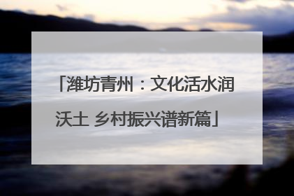 潍坊青州：文化活水润沃土 乡村振兴谱新篇