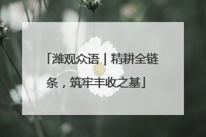 潍观众语｜精耕全链条，筑牢丰收之基