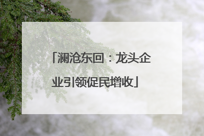 澜沧东回：龙头企业引领促民增收