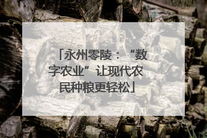 永州零陵：“数字农业”让现代农民种粮更轻松