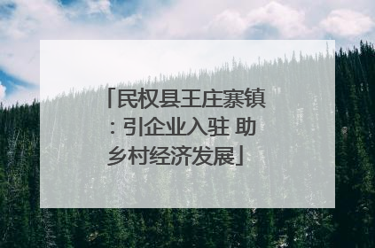 民权县王庄寨镇：引企业入驻 助乡村经济发展