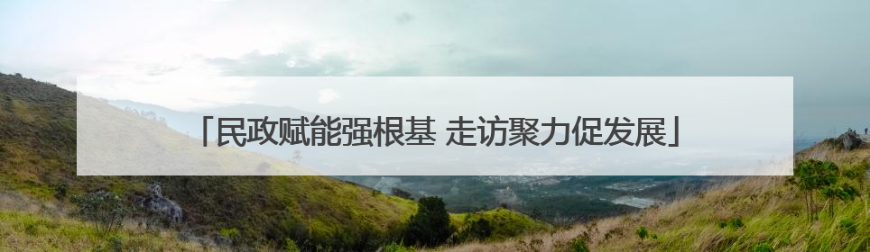 民政赋能强根基 走访聚力促发展