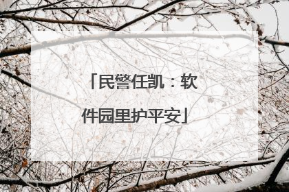民警任凯：软件园里护平安