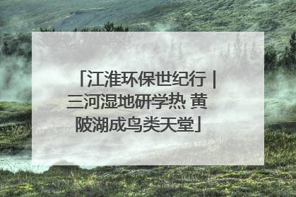 江淮环保世纪行｜三河湿地研学热 黄陂湖成鸟类天堂