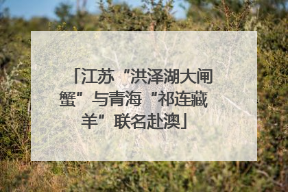 江苏“洪泽湖大闸蟹”与青海“祁连藏羊”联名赴澳