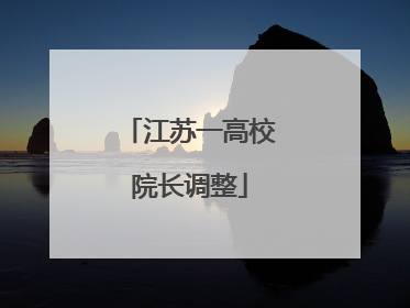 江苏一高校院长调整