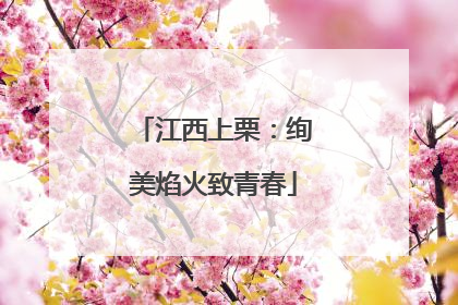 江西上栗：绚美焰火致青春