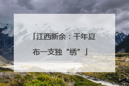 江西新余：千年夏布一支独“绣”