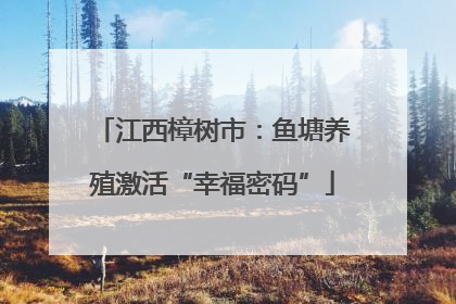 江西樟树市：鱼塘养殖激活“幸福密码”