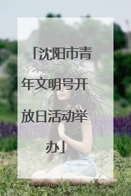 沈阳市青年文明号开放日活动举办