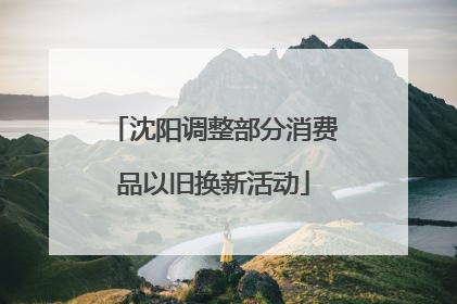 沈阳调整部分消费品以旧换新活动