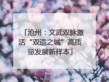 沧州：文武双脉激活“双遗之城”高质量发展新样本