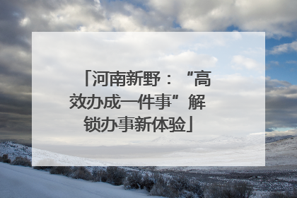 河南新野：“高效办成一件事”解锁办事新体验