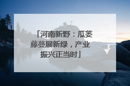 河南新野：瓜蒌藤蔓展新绿，产业振兴正当时