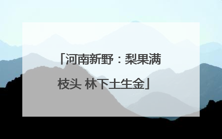 河南新野：梨果满枝头 林下土生金