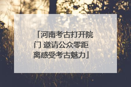 河南考古打开院门 邀请公众零距离感受考古魅力