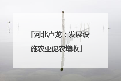 河北卢龙：发展设施农业促农增收