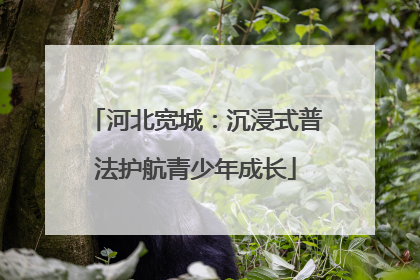 河北宽城：沉浸式普法护航青少年成长