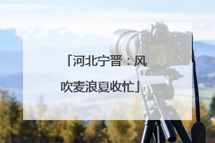 河北宁晋：风吹麦浪夏收忙