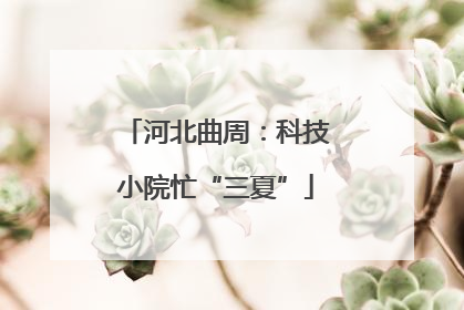 河北曲周：科技小院忙“三夏”
