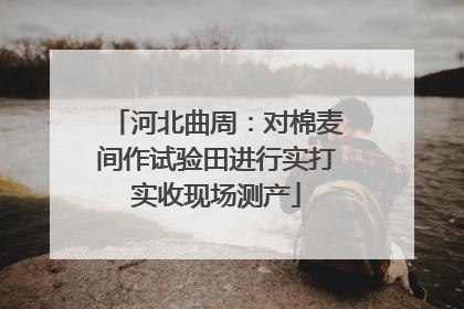 河北曲周：对棉麦间作试验田进行实打实收现场测产
