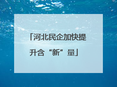 河北民企加快提升含“新”量