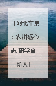 河北辛集：农耕砺心志 研学育新人