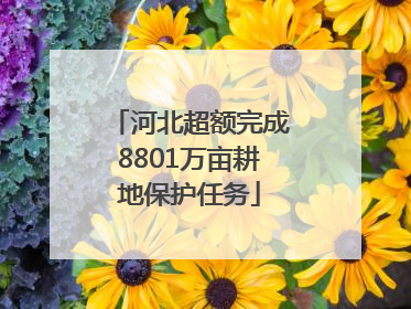 河北超额完成8801万亩耕地保护任务