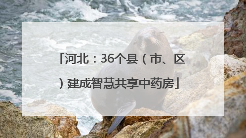 河北：36个县（市、区）建成智慧共享中药房