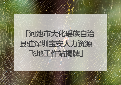 河池市大化瑶族自治县驻深圳宝安人力资源飞地工作站揭牌