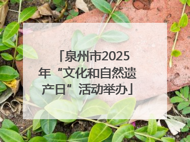 泉州市2025年“文化和自然遗产日”活动举办