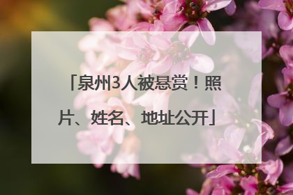 泉州3人被悬赏！照片、姓名、地址公开