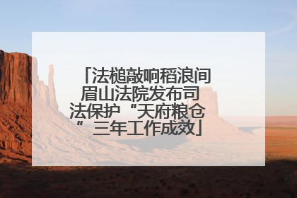 法槌敲响稻浪间 眉山法院发布司法保护“天府粮仓”三年工作成效
