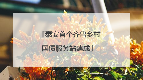 泰安首个齐鲁乡村国债服务站建成